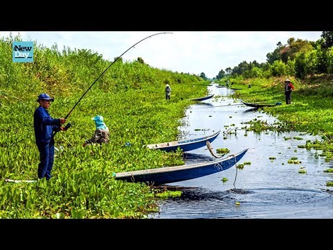 Cảm Động Cụ Bà 75 Tuổi Câu Cá Trên Biển Để Mưu Sinh